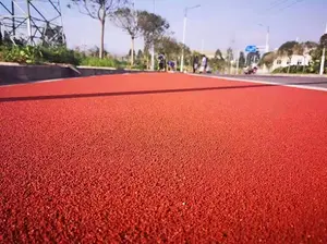 彩色陶瓷颗粒地坪1
